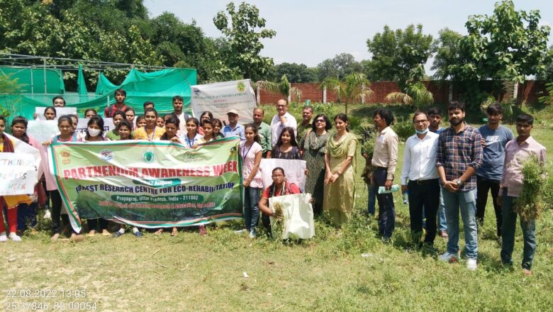 *भारत में हरित क्रांति के समय अमेरिका से आयी गाजर घास (पार्थेनियम हिस्टरोफोरस) अब यहां की फसलों और किसानों के लिए आफत का सबब बन रही*