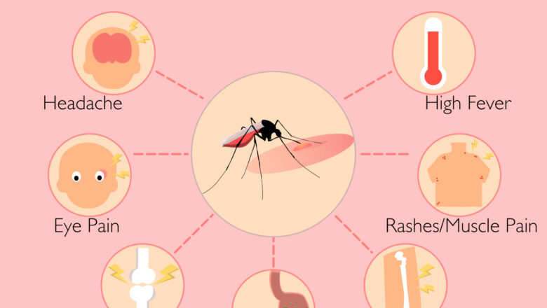 प्रयागराज में डेंगू के बढ़ते प्रकोप को देखते हुए कंट्रोल रूम स्थापित