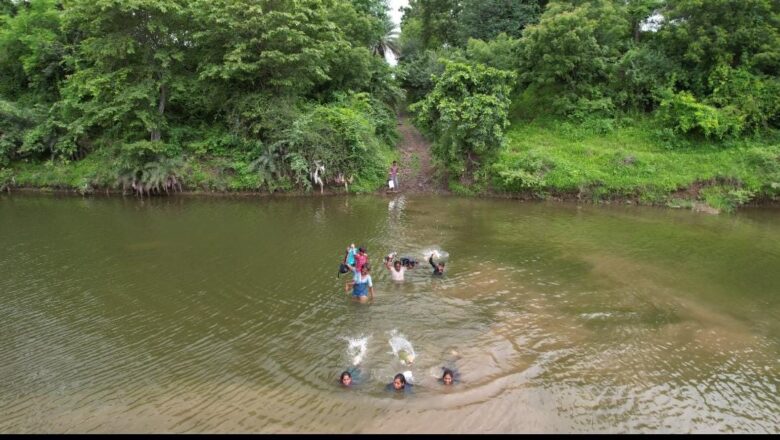 पुल के अभाव में आदिवासी और स्कूली बच्चे कोटेश्वरी नदी तैरकर पार होते हैं।