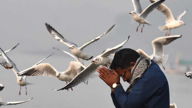 जबलपुर में प्रवासी पंछियों का आगमन: एक अनोखा अनुभव”