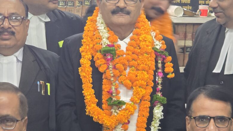 हाईकोर्ट बार चुनाव…….  कमलेश द्विवेदी वरिष्ठ उपाध्यक्ष, बैरिस्टर सिंह प्रशासन और शशि द्विवेदी लाइब्रेरी निर्वाचित