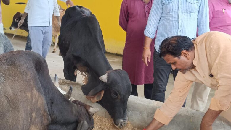 गोपाष्टमी से पहले महापौर गणेश केसरवानी ने किया गौशाला का निरीक्षण