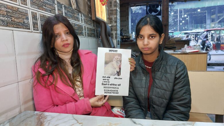 प्रयागराज जक्शन रेलवे स्टेशन के सामने से पार्शियन बिल्ला गायब मचा हड़कम्मप