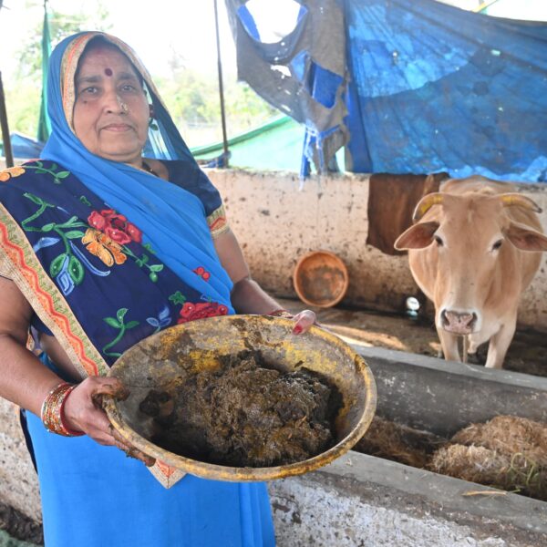 महंगी LPG से बेफिक्र बंदरकोला गांव: 75% घरों में गोबर गैस से जलते चूल्हे