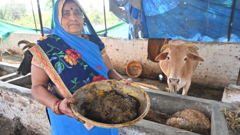 महंगी LPG से बेफिक्र बंदरकोला गांव: 75% घरों में गोबर गैस से जलते चूल्हे