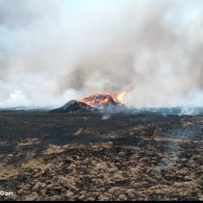 शॉर्ट सर्किट से भीषण आग, 150 बीघा भूसा राख — किसानों के सामने खड़ा हुआ बड़ा संकट