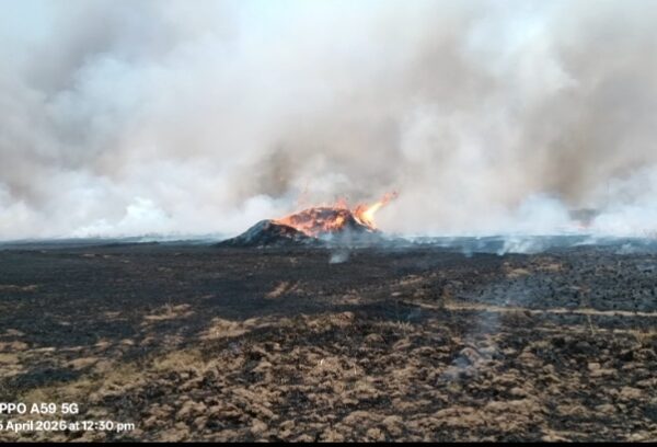 शॉर्ट सर्किट से भीषण आग, 150 बीघा भूसा राख — किसानों के सामने खड़ा हुआ बड़ा संकट