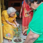ग्लोबल ग्रीन्स एवं एंटी क्राइम एंटी करप्शन संस्था ने संयुक्त रूप से विश्व पर्यावरण दिवस मनाया