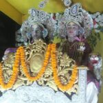 दधिकांदो मेला में चांदी के हौदे पर होकर सवार कृष्ण बलदाऊ ने भक्तों को दिया दर्शन